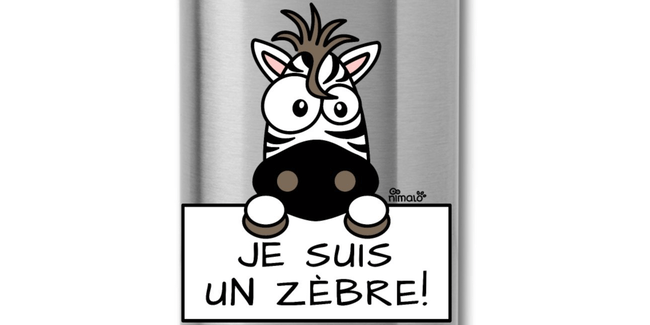 Retour de la conférence du 4 Novembre sur la Précocité Intellectuelle à Asnières &laquo;&nbsp;Petit Zèbre, je t&rsquo;aime&nbsp;&raquo;